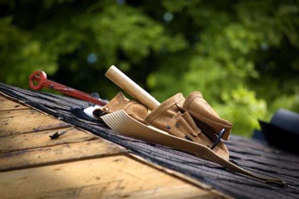 roof-snow-removal Experts in Albertville